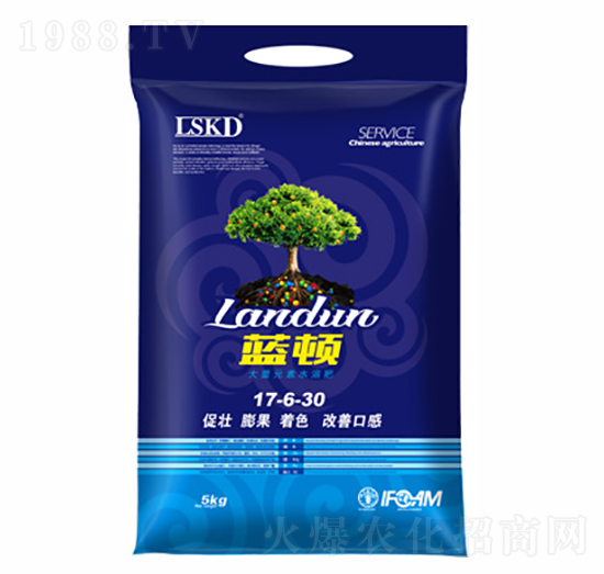 藍頓17-6-30-萊仕康頓