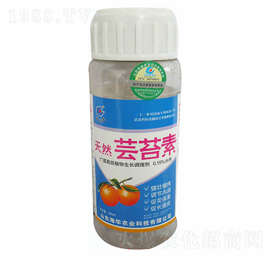 ��Ȼ�|̦��-���A�r�I(y��)