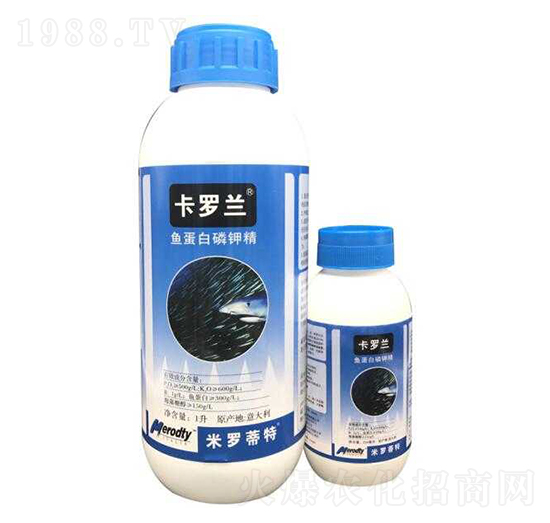 �~������⛾�-���_�m-�R�Ǻτ�(chu��ng)