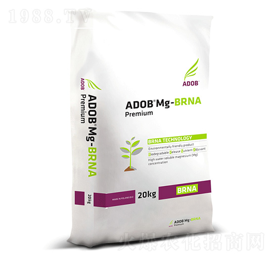 �����V-���Z-����ķ