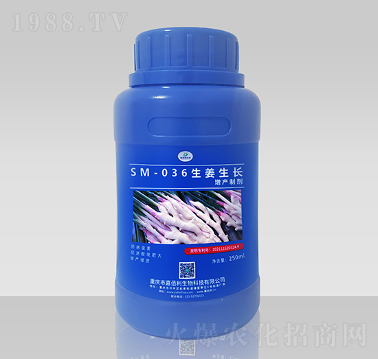 SM-036生姜生長增產(chǎn)制劑（250ml）-嘉佰利生物