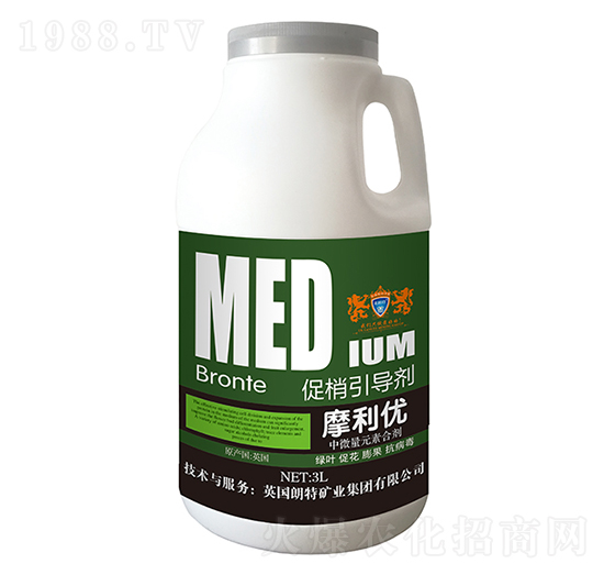 ����������-Ӣ����