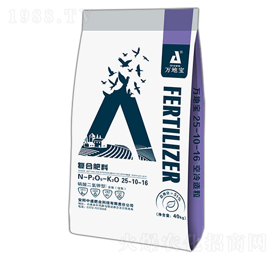 ���������͸����ͺϷ���25-10-16-�f�،�-�r������