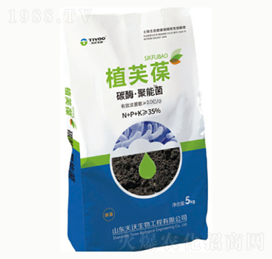 ̼ø�����ܾ�-ֲܽ��-��¹����