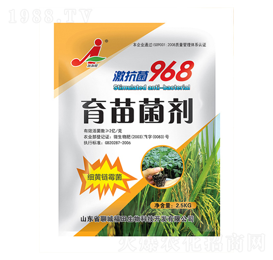 �������-��������