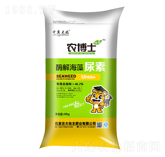 ø�⺣������-��������