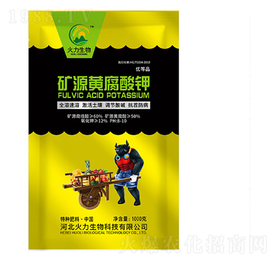 �VԴ�S�����-��������