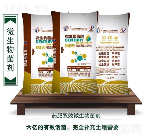 ΢���������6�|����-��������