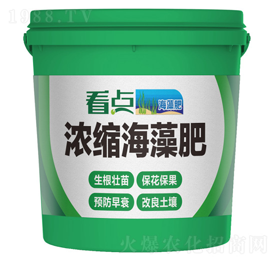 濃縮海藻肥-看點