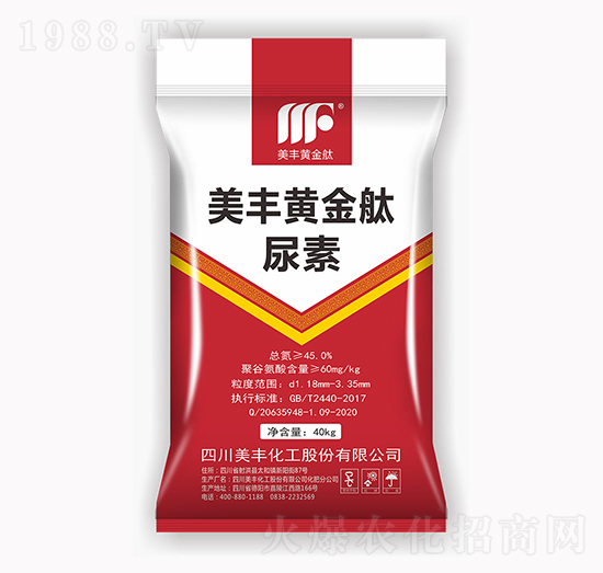 ���S�S���v����-���S����