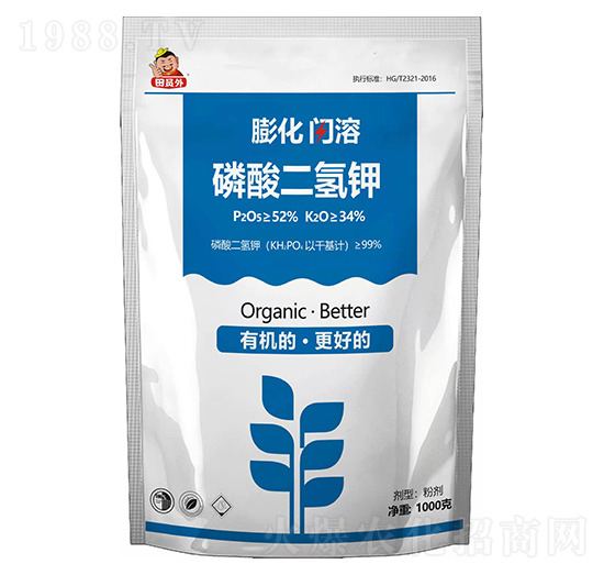 ���W����������-�f������