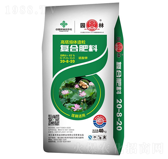 ɏź�m�Ï�(f��)�Ϸ���20-8-20-�@��-����(l��i)��