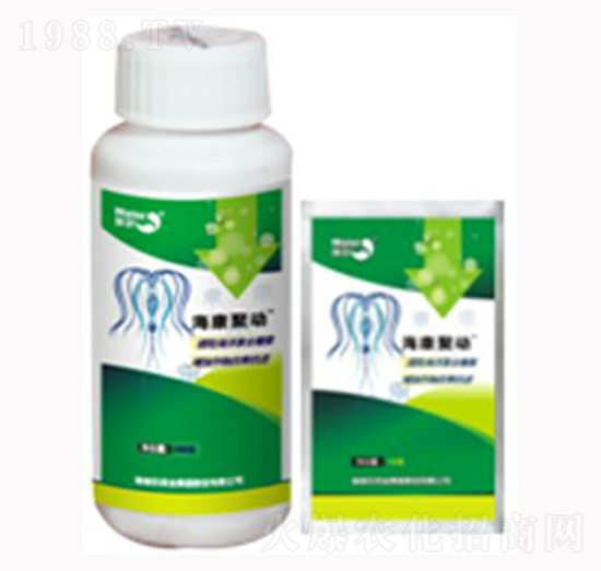 海康聚動-海利爾