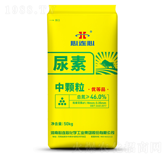 ���w������-���B��