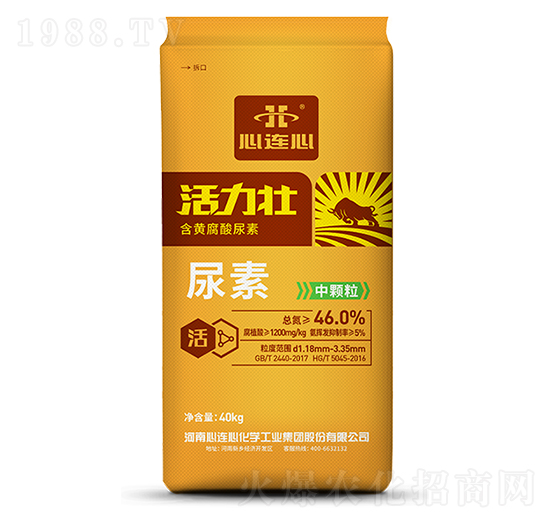 �����Ѻ��S��������-���B��