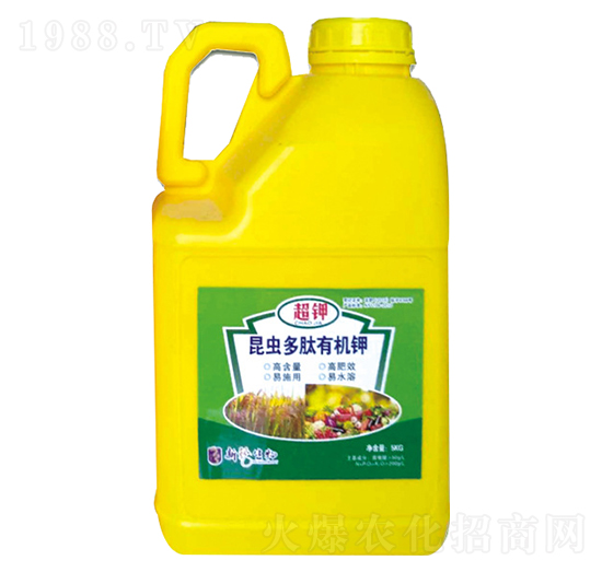 ���x(ch��ng)�����ЙC(j��)�-��������