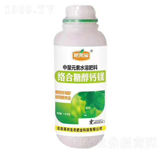 �j���Ǵ��}�V-�ʁ팚-���r