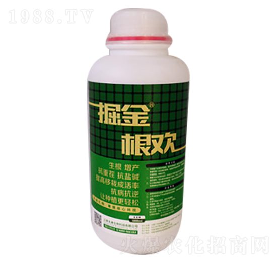 �����g-�̵�