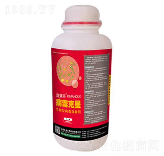 ��������-�̵�