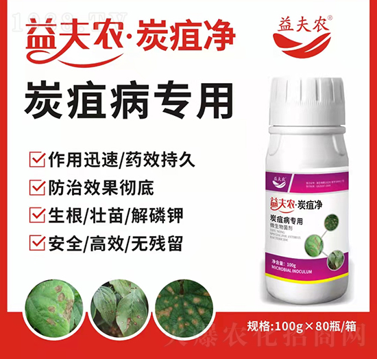 ̿�Ҳ�����-����r��̿�҃�-����r