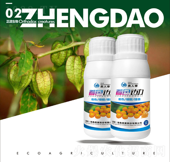 ��ɫ����-��������