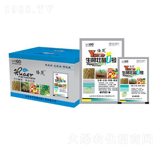 ��������1̖-�A�����Z