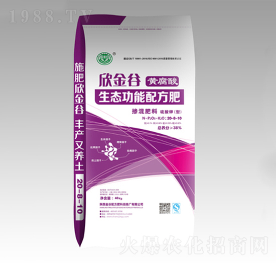 �S�������B(t��i)�����䷽�������20-8-10-�����-����䷽��