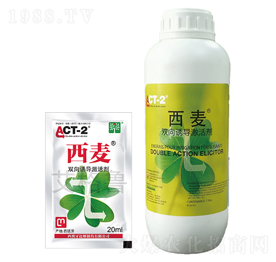 �p���T��(d��o)���-����-������