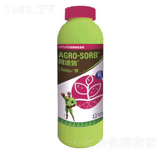 ���ٲ��-�S������