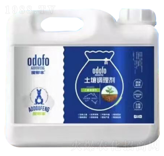 �����{�턩-�Ķ��S