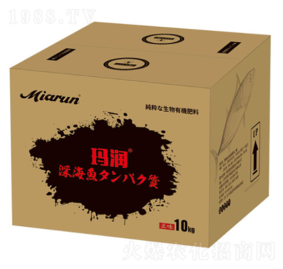 �ձ��M(j��n)���~����-����(r��n)-����