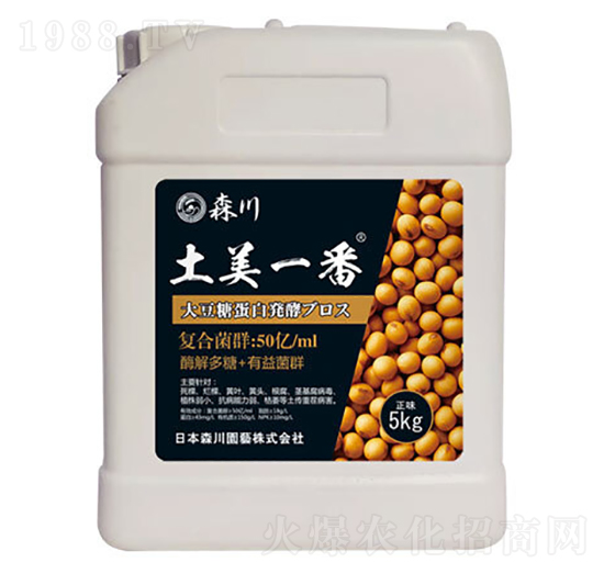 ����һ�������;���-ɭ��-����