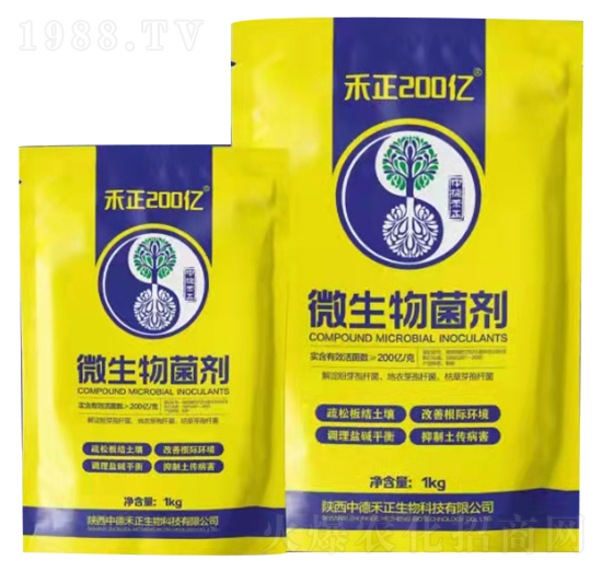 ΢�������-����200�|-�еº���