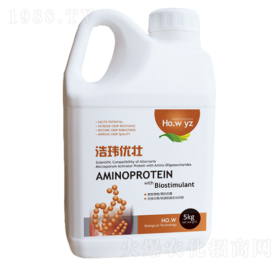 ���ܷ�-�Ƭ|��(y��u)��-�Ƭ|����