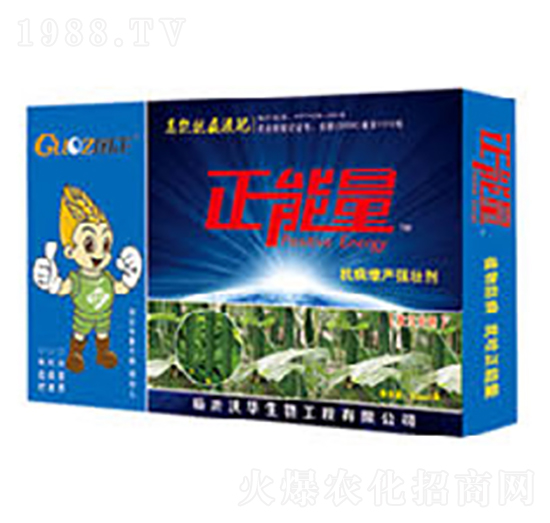 黃瓜專用抗病增產強壯劑-正能量