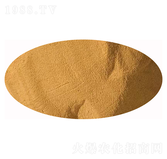 1200�|ԭ���N-�l(f��)ؔ��