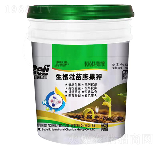生根壯苗膨果鉀-英國(guó)倍爾-普康田