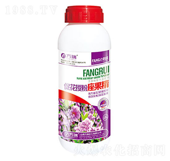 500ml�ٻ��ڷ�������-����