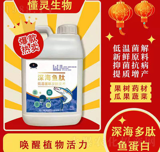 深海魚肽-懂靈生物