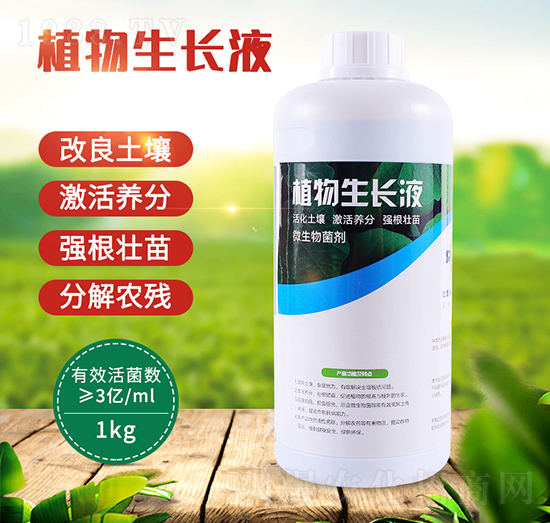 ֲ�����L(zh��ng)Һ-��(r��n)��