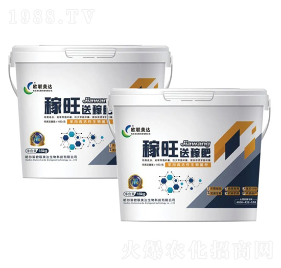 �W(li��n)���_(d��)������-�W(li��n)���_(d��)