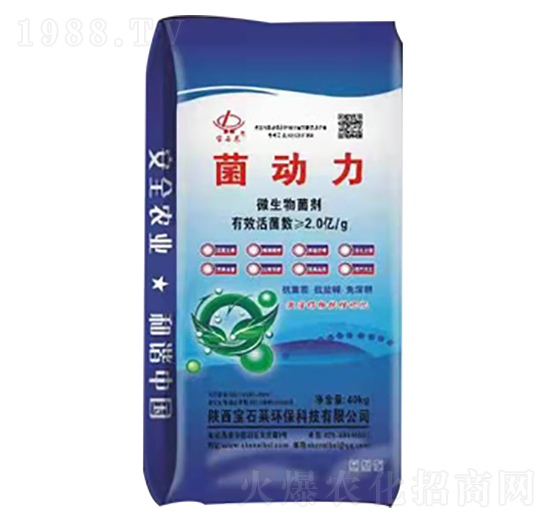 ������΢�������-��ʯ�R