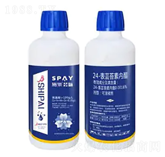 24-���|̦�؃�(n��i)֬-�|��-ʩ������