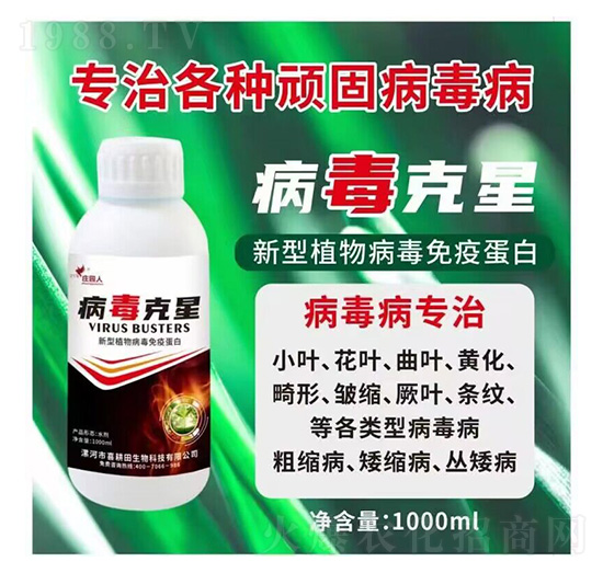 ��������-�f�@��-ϲ����