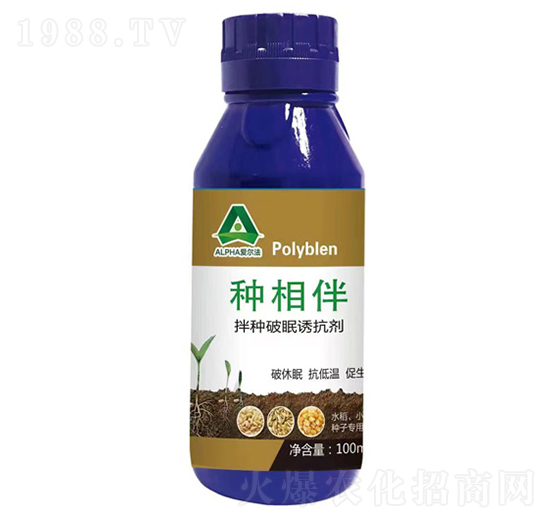 ��N�����T����-�N���-�۠���