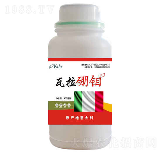 �������f-��(��i)����