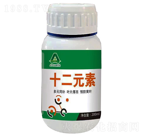 ʮ��Ԫ��-��(��i)����