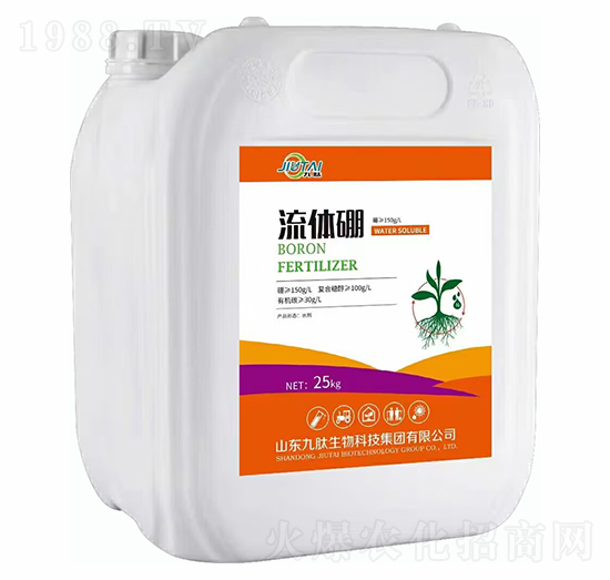 ���w��-��������