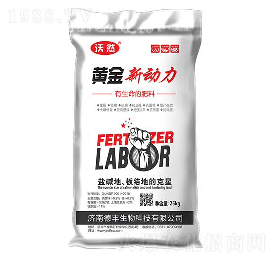 黃金新動(dòng)力-德豐