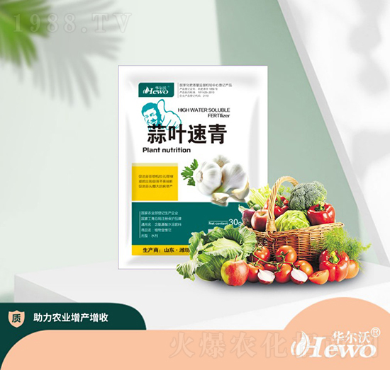 蒜葉速青-華爾沃